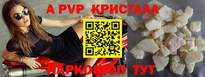 гашик Будённовск