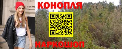 гашик Будённовск