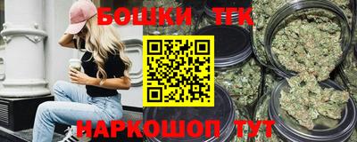 гашик Будённовск