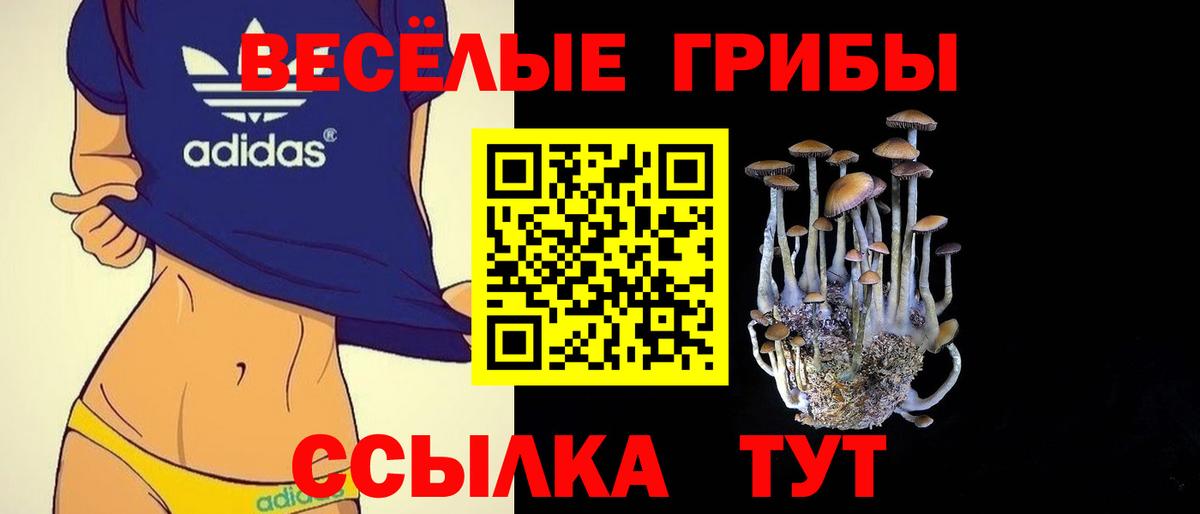 Галлюциногенные грибы Cubensis Элиста