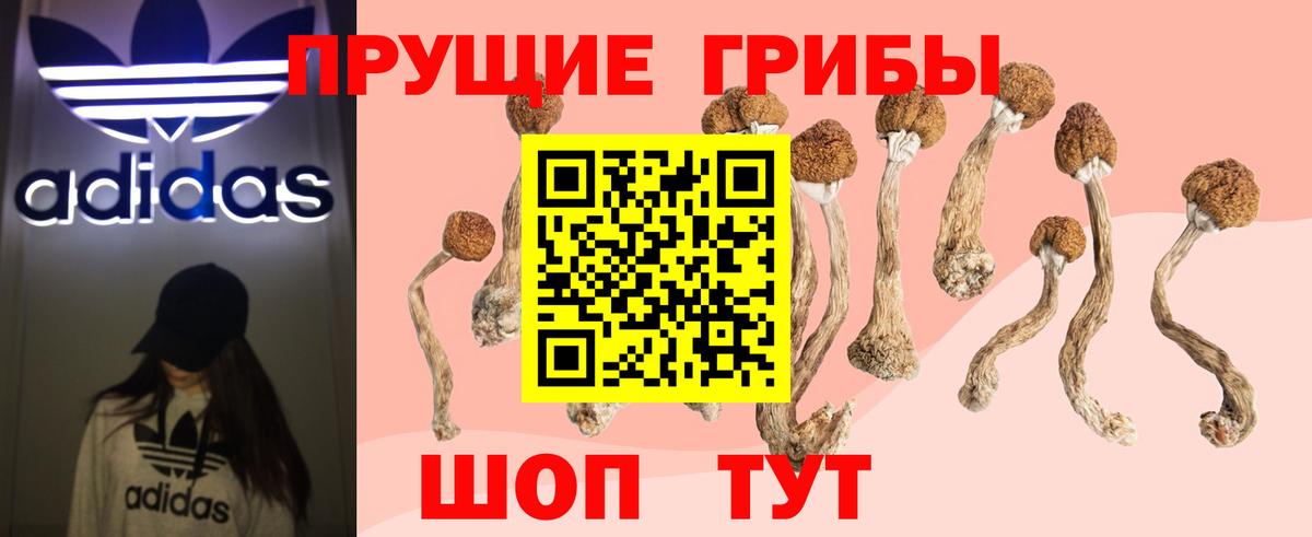 Галлюциногенные грибы прущие грибы  Галлюциногенные грибы мухоморы  Вход с VPN  купить наркотик  Элиста 