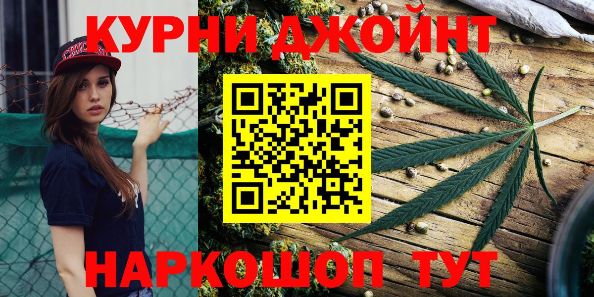 Бошки Шишки план Элиста